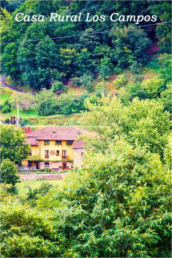 Casa Rural Los Campos Corao Exterior photo