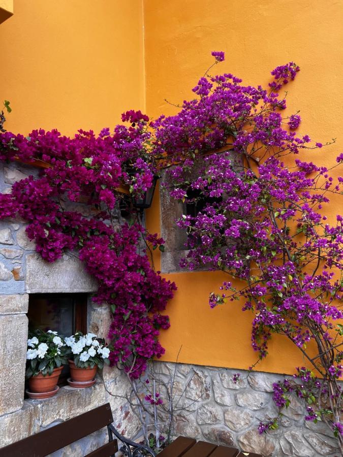 Casa Rural Los Campos Corao Exterior photo